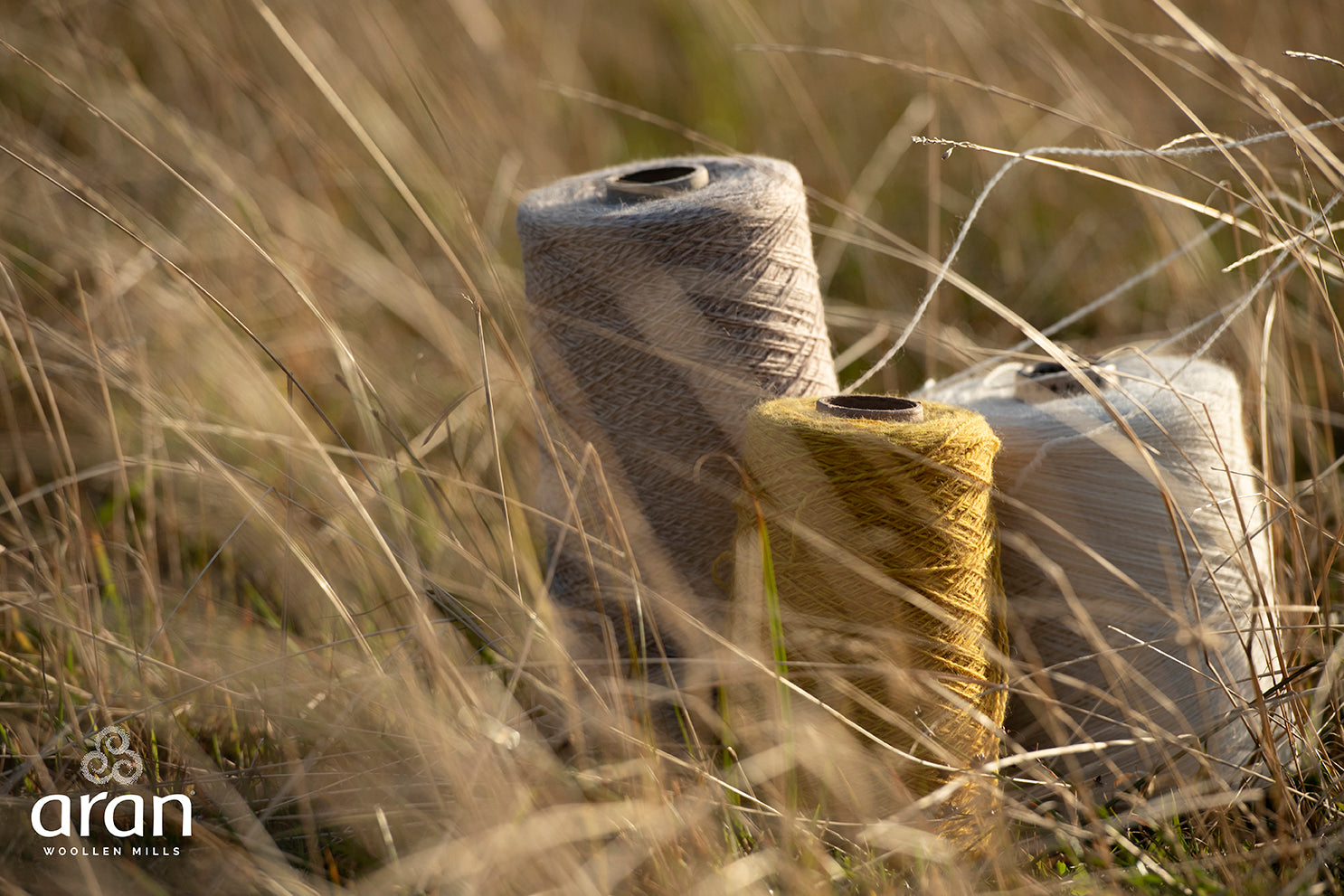Picture of three large spools of yarn (natural, white and gold) in natural dyes in an Irish wheat field.