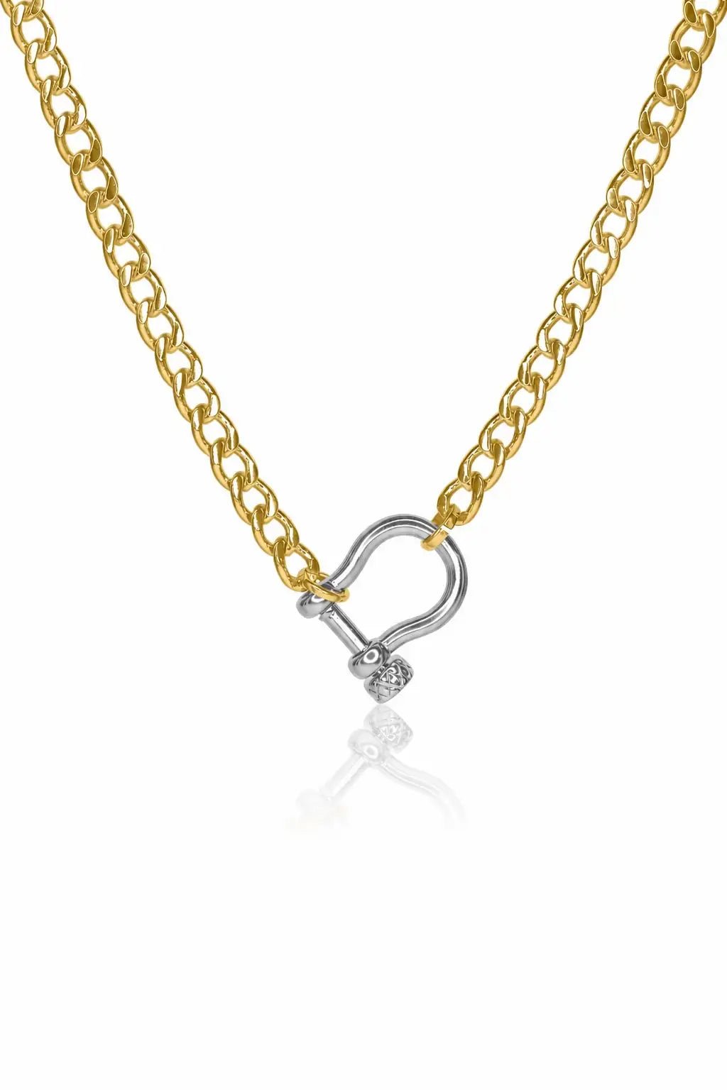 Gold chain necklace with a silver horse shoe clasp on a white background