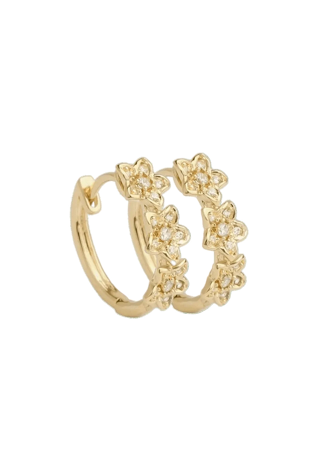 Margarita Daisy Spanish Hoop Earrings in gold on a transparent background