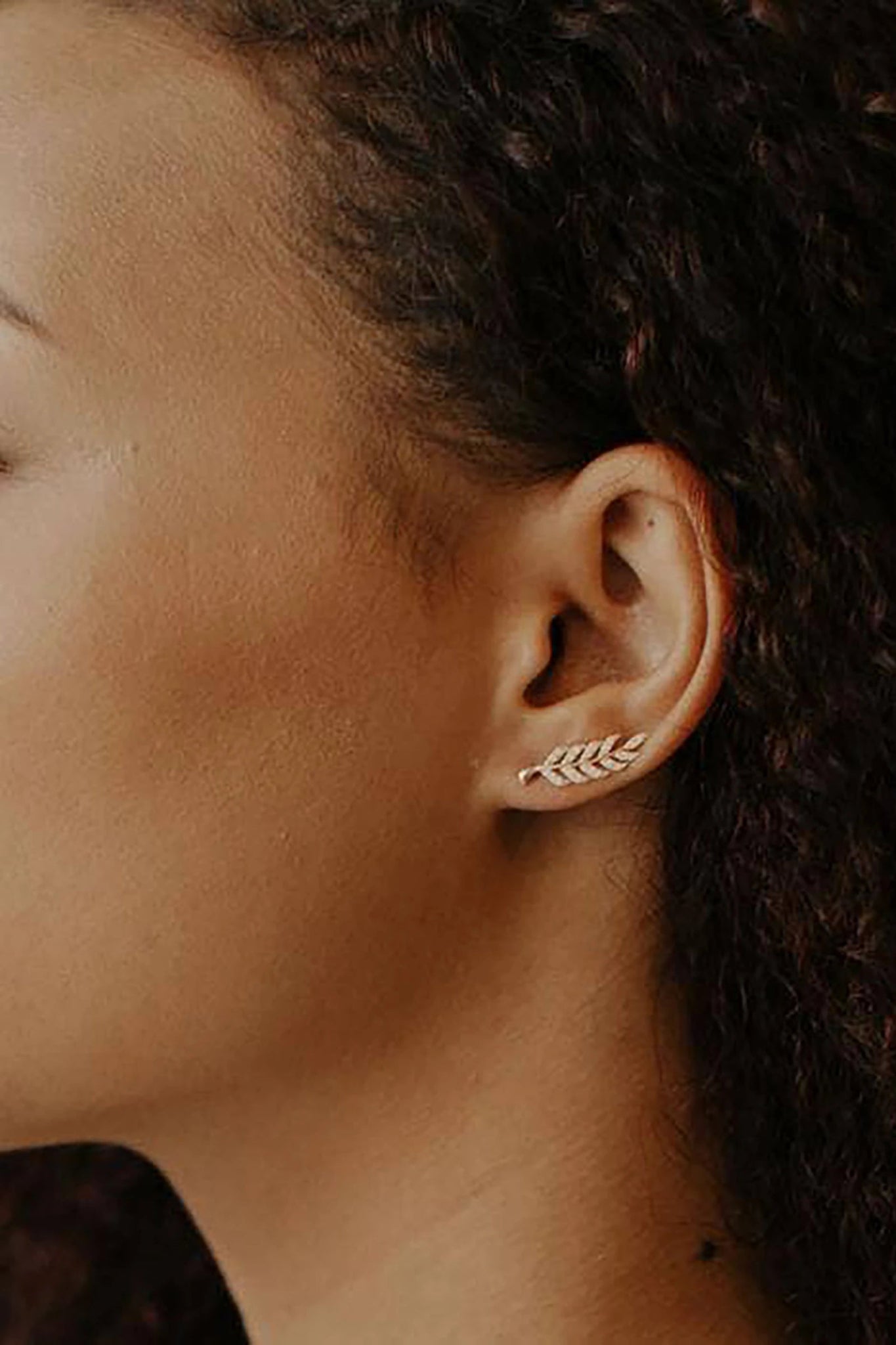 Sparkling Solid Gold Leaf Crawler Cubic Zirconia Earrings - L'Atelier Global