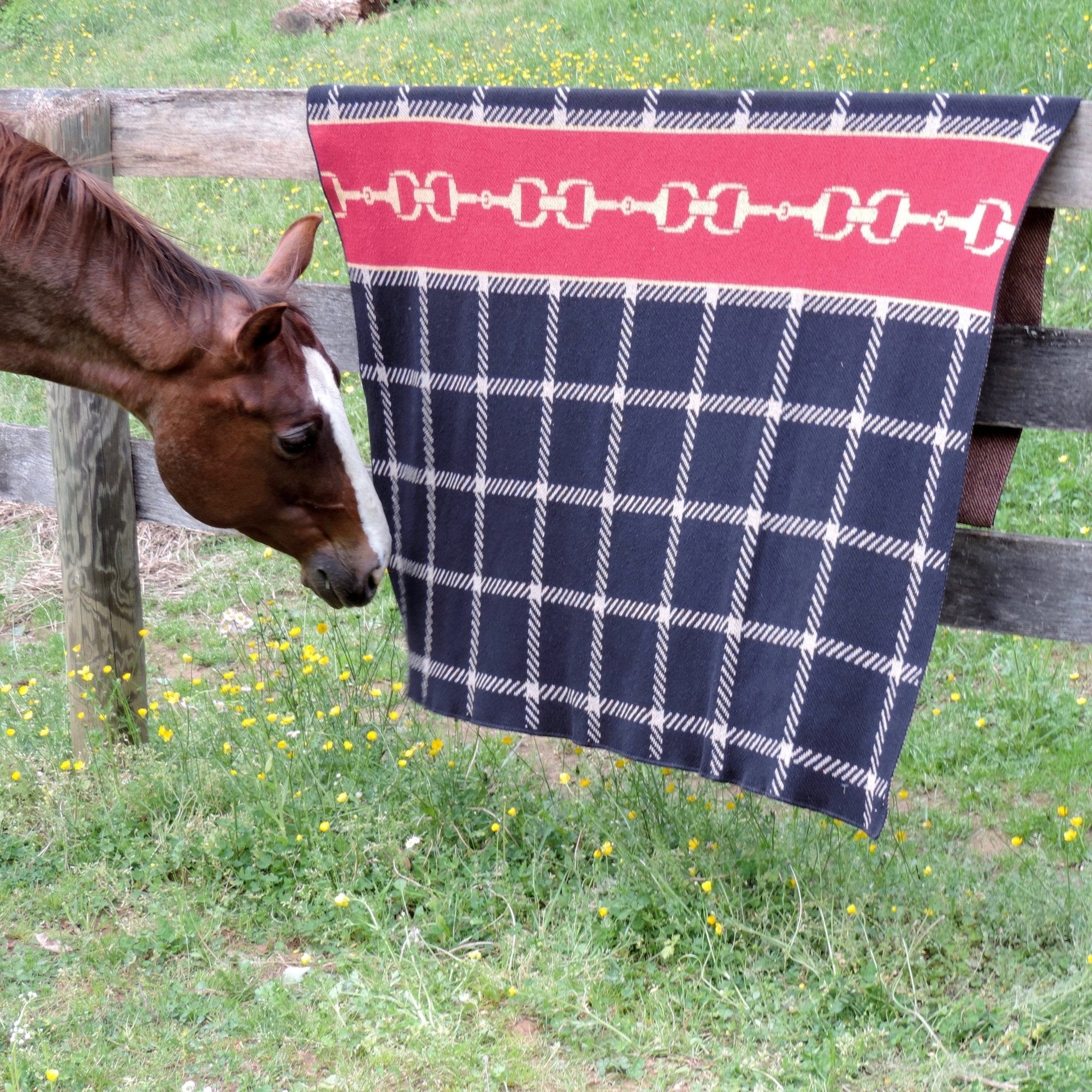 Equestrian Horse Bit Plaid Eco Throw is hanging on a paddock fence and a bay horse with a white stripe down its face is sniffing the blanket