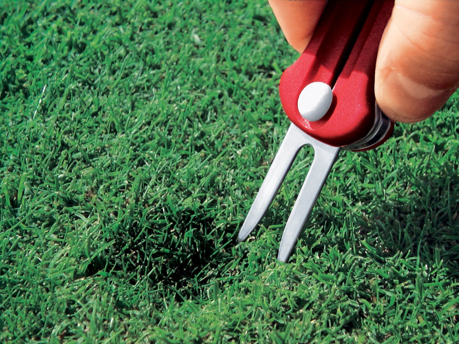 Swiss Golf Tool shown in use on a putting green