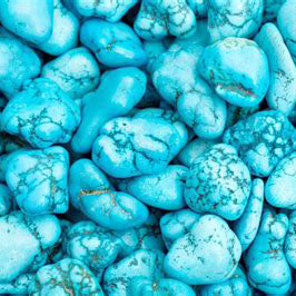 Chilean Turquoise Oval Drop Earrings