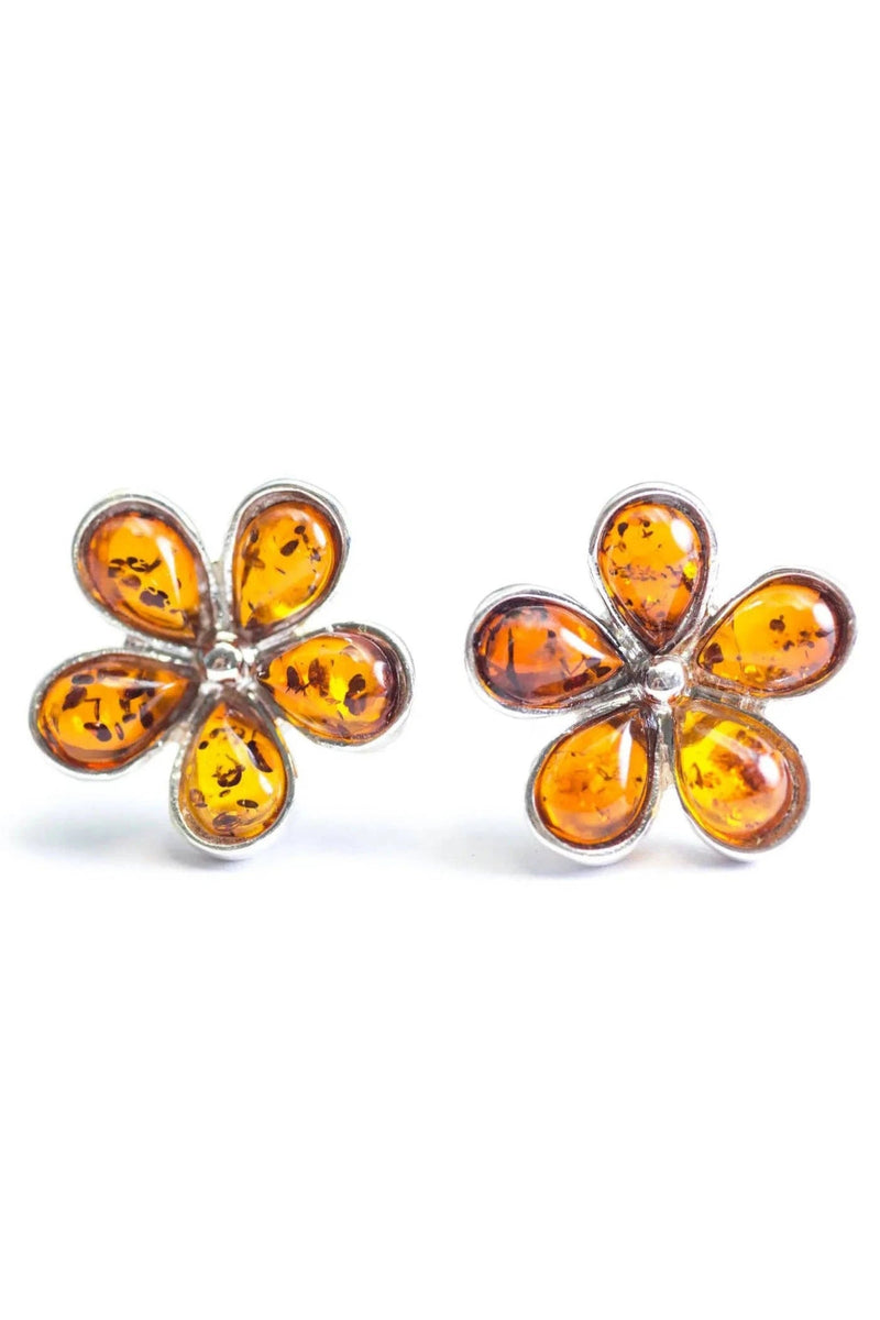 Baltic Honey Amber 5-petal Daisy Silver Stud Earrings on a white background